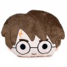 CUSCINO PELUCHE HARRY POTTER